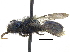  ( - 06717G04-AB)  @14 [ ] CreativeCommons - Attribution (2015) CBG Photography Group Centre for Biodiversity Genomics