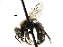  ( - 06732A04-WY)  @13 [ ] CreativeCommons - Attribution (2015) CBG Photography Group Centre for Biodiversity Genomics