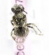  (Andrena KGZ07 - B03757C01)  @11 [ ] CreativeCommons - Attribution Non-Commercial Share-Alike (2010) Unspecified York University