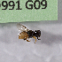  ( - CCDB-22790 A06)  @11 [ ] PCYU (2014) Unspecified York University