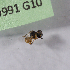  ( - CCDB-22790 A08)  @11 [ ] PCYU (2014) Unspecified York University