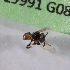  ( - CCDB-22790 A12)  @12 [ ] PCYU (2014) Unspecified York University