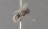  ( - CCDB-22790 C04)  @12 [ ] PCYU (2014) Unspecified York University