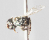  ( - CCDB-22790 C06)  @12 [ ] PCYU (2014) Unspecified York University