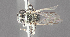  ( - CCDB-22790 C10)  @12 [ ] PCYU (2014) Unspecified York University