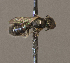  ( - CCDB-22790 E06)  @12 [ ] PCYU (2014) Unspecified York University