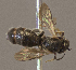  ( - CCDB-22790 E08)  @13 [ ] PCYU (2014) Unspecified York University