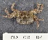  ( - CIB167)  @11 [ ] Copyright (2016) Unspecified DFO