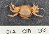  ( - CIB282)  @13 [ ] Copyright (2016) Unspecified DFO