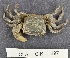  ( - CIB297)  @11 [ ] Copyright (2016) Unspecified DFO