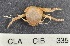  ( - CIB335)  @12 [ ] Copyright (2016) Unspecified DFO
