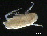 ( - BIOUG00343-E03)  @11 [ ] CreativeCommons - Attribution (2013) Rob Young Centre for Biodiversity Genomics