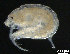  ( - BIOUG00343-E03)  @11 [ ] CreativeCommons - Attribution (2013) Rob Young Centre for Biodiversity Genomics
