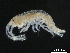  ( - BIOUG00343-G02)  @11 [ ] CreativeCommons - Attribution (2013) Rob Young Centre for Biodiversity Genomics