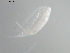  ( - BIOUG01746-D04)  @12 [ ] CreativeCommons - Attribution (2012) Rob Young Centre for Biodiversity Genomics