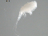  ( - BIOUG01746-E04)  @13 [ ] CreativeCommons - Attribution (2012) Rob Young Centre for Biodiversity Genomics