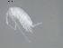 ( - BIOUG01746-H10)  @13 [ ] CreativeCommons - Attribution (2012) Rob Young Centre for Biodiversity Genomics