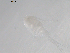  ( - BIOUG01747-A04)  @12 [ ] CreativeCommons - Attribution (2012) Rob Young Centre for Biodiversity Genomics