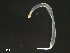  ( - BIOUG01748-E11)  @11 [ ] CreativeCommons - Attribution (2013) Rob Young Centre for Biodiversity Genomics