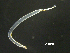  ( - BIOUG01748-E12)  @11 [ ] CreativeCommons - Attribution (2013) Rob Young Centre for Biodiversity Genomics