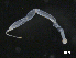  ( - BIOUG01748-G08)  @11 [ ] CreativeCommons - Attribution (2013) Rob Young Centre for Biodiversity Genomics
