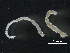  ( - BIOUG01748-G11)  @12 [ ] CreativeCommons - Attribution (2013) Rob Young Centre for Biodiversity Genomics