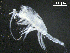  ( - BIOUG01748-H10)  @11 [ ] CreativeCommons - Attribution (2013) Rob Young Centre for Biodiversity Genomics