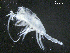  ( - BIOUG01748-H10)  @11 [ ] CreativeCommons - Attribution (2013) Rob Young Centre for Biodiversity Genomics