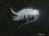  ( - BIOUG01748-H11)  @11 [ ] CreativeCommons - Attribution (2013) Rob Young Centre for Biodiversity Genomics