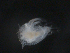  ( - BIOUG01750-A12)  @13 [ ] CreativeCommons - Attribution (2012) Rob Young Centre for Biodiversity Genomics