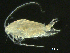  ( - BIOUG04840-B01)  @14 [ ] CreativeCommons - Attribution (2013) Rob Young Centre for Biodiversity Genomics