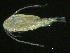  ( - BIOUG04840-B08)  @14 [ ] CreativeCommons - Attribution (2013) Rob Young Centre for Biodiversity Genomics