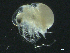  ( - BIOUG04840-C02)  @11 [ ] CreativeCommons - Attribution (2013) Rob Young Centre for Biodiversity Genomics