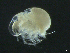  ( - BIOUG04840-C02)  @11 [ ] CreativeCommons - Attribution (2013) Rob Young Centre for Biodiversity Genomics
