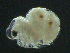  ( - BIOUG04840-C04)  @11 [ ] CreativeCommons - Attribution (2013) Rob Young Centre for Biodiversity Genomics