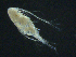  ( - BIOUG04840-F02)  @13 [ ] CreativeCommons - Attribution (2013) Rob Young Centre for Biodiversity Genomics