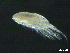  ( - BIOUG04840-F03)  @14 [ ] CreativeCommons - Attribution (2013) Rob Young Centre for Biodiversity Genomics