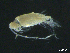  ( - BIOUG04840-F04)  @13 [ ] CreativeCommons - Attribution (2013) Rob Young Centre for Biodiversity Genomics
