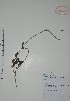  ( - Alvarez10250)  @11 [ ] Unspecified (default): All Rights Reserved  Gerardo Salazar 2010 Unspecified