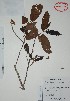  ( - Alvarez1266)  @11 [ ] Unspecified (default): All Rights Reserved  Gerardo Salazar 2010 Unspecified