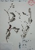  ( - Alvarez1314)  @11 [ ] Unspecified (default): All Rights Reserved  Gerardo Salazar 2010 Unspecified