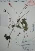  ( - Alvarez3013)  @11 [ ] Unspecified (default): All Rights Reserved  Gerardo Salazar 2010 Unspecified