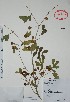  ( - Alvarez5897)  @11 [ ] Unspecified (default): All Rights Reserved  Gerardo Salazar 2010 Unspecified