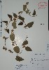  ( - Alvarez7778)  @11 [ ] Unspecified (default): All Rights Reserved  Gerardo Salazar 2010 Unspecified