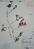  ( - Alvarez7823)  @11 [ ] Unspecified (default): All Rights Reserved  Gerardo Salazar 2010 Unspecified