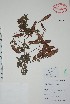  ( - Alvarez7909)  @11 [ ] Unspecified (default): All Rights Reserved  Gerardo Salazar 2010 Unspecified