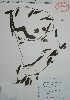  (Aniseia - Alvarez8586)  @11 [ ] Unspecified (default): All Rights Reserved  Gerardo Salazar 2010 Unspecified