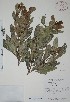  ( - Mtz27910)  @11 [ ] Unspecified (default): All Rights Reserved  Unspecified Unspecified