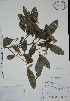  ( - Mtz28086)  @11 [ ] Unspecified (default): All Rights Reserved  Unspecified Unspecified