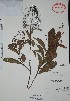 ( - Mtz28393)  @11 [ ] Unspecified (default): All Rights Reserved  Unspecified Unspecified
